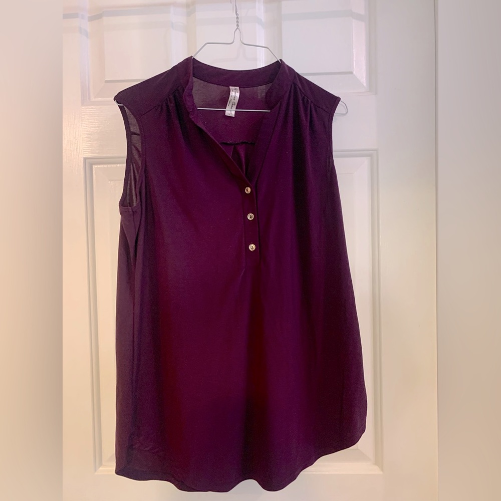 Non wrinkle sleeveless blouse